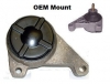 RH Engine Mount SVT